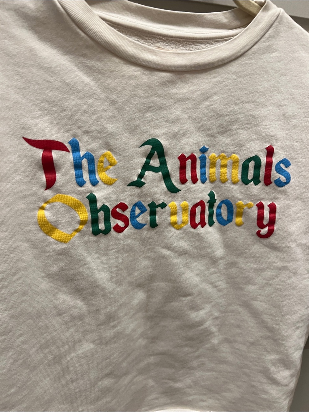 Sweatshirt - Picture 2 of 6